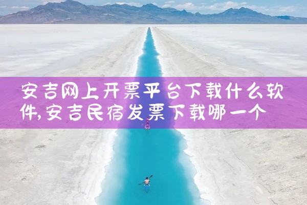 安吉网上开票平台下载什么软件