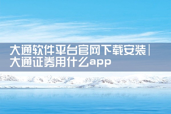 大通软件平台官网下载安装