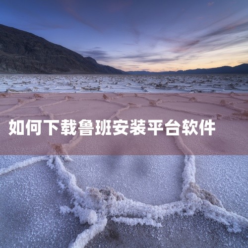 1. 访问官方网站： 用户可以通过搜索引擎找到鲁班物流管理系统的官方网站。在官网上，通常会有详细的下载页面，提供软件的下载链接。确保选择官方渠道，避免从第三方非正式渠道下载，以防安全风险。2. 选择下,