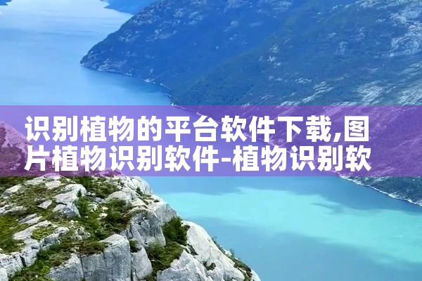 识别植物的平台软件下载