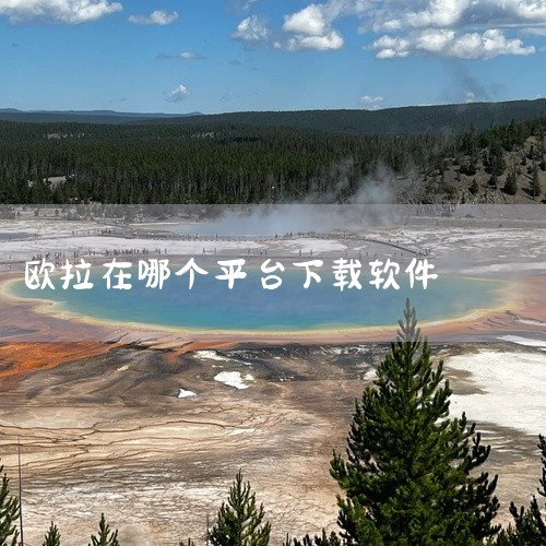 《欧拉数理化正式版》是一款专为中学生设计的数理化学习软件,集知识点讲解、习题训练与智能测评于一体。软件以虚拟教师“欧拉”为核心角色,通过生动互动的方式引导用户掌握代数、几何、物理与化学核心内容。欧拉数,