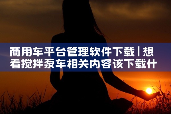 商用车平台管理软件下载