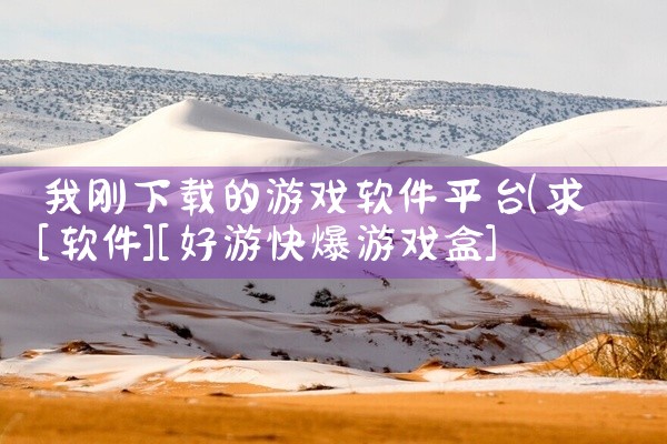 我刚下载的游戏软件平台